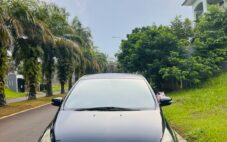 Mitsubishi Grandis 2010